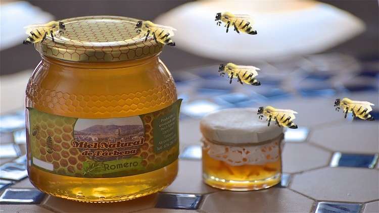 تجارة العسل في السعودية