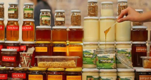 شركات النحل في تركيا