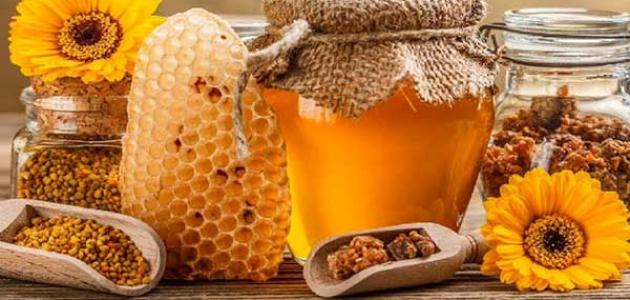 صاحب ماجيستير نطاق  فوائد العسل لدهون الكبد.. دليلك لخبراء التغذية السليمة | موثوق _  https://mawthook.com/