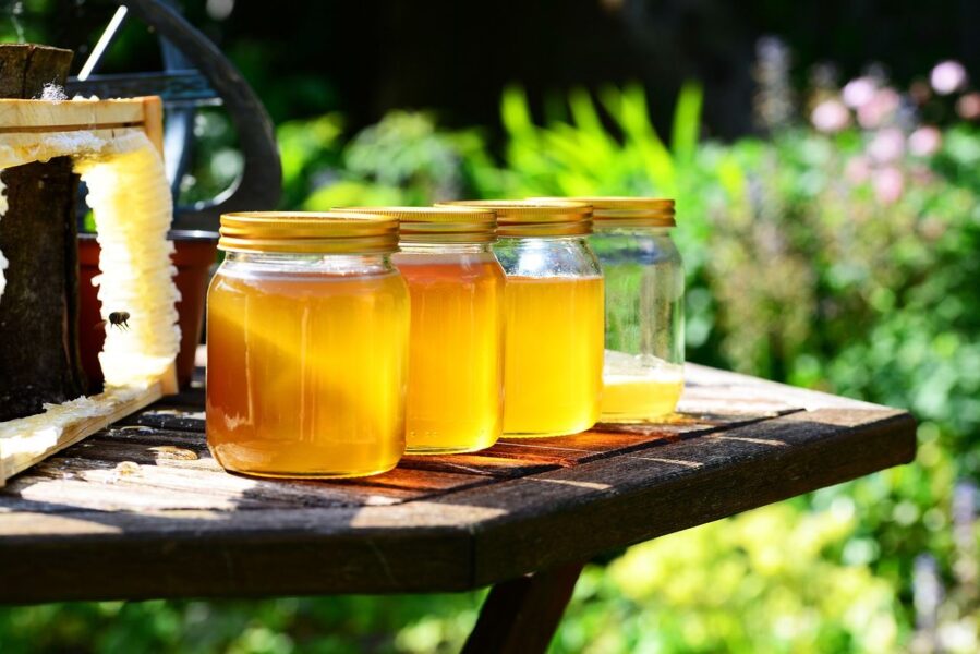 هل العسل مفيد للجسم