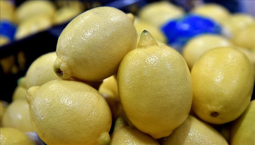 اسعار الليمون في تركيا