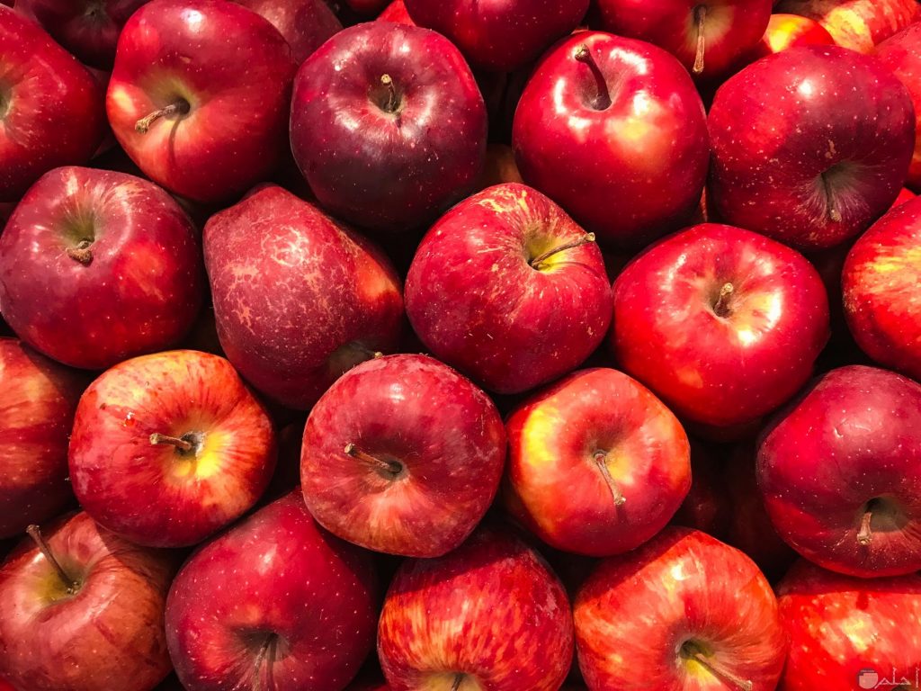 تصدير التفاح من تركيا